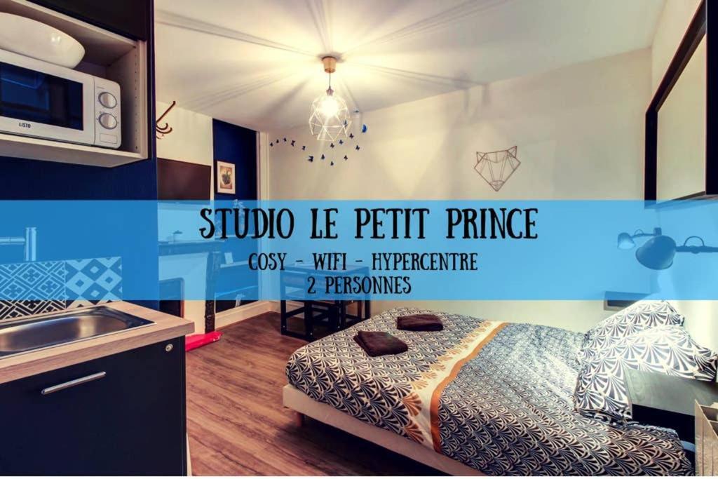 Studio Le Petit Prince - Topdestination Dijon - Centre Ville - Classe 3 Etoiles Luaran gambar